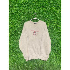 Vintage Altoona Curve Pullover Crewneck, Adult Mens XXL, AA Baseball, Reworked